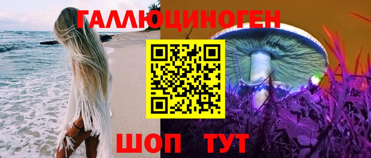 Галлюциногенные грибы прущие грибы  Вход с VPN  Псилоцибиновые грибы MAGIC MUSHROOMS  где купить наркотик  Новокубанск 