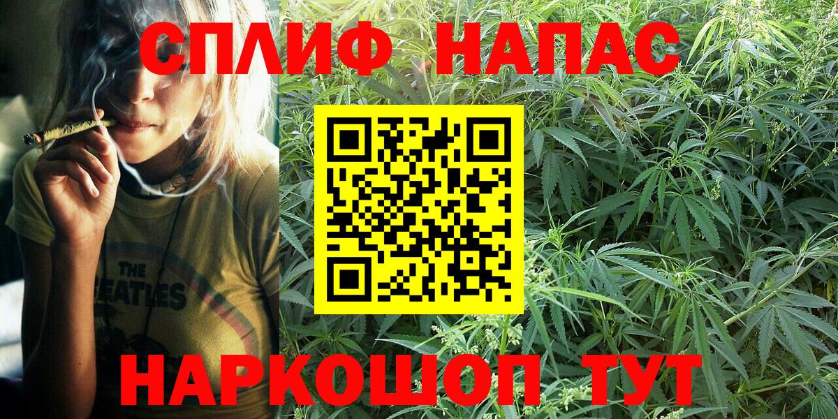 Каннабис ГИДРОПОН Новокубанск